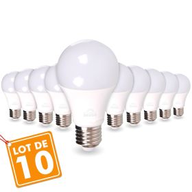 LOT de 10 AMPOULES LED E27 14W Eq 100W