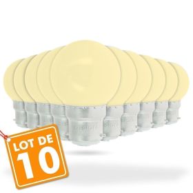 Lot de 10 Ampoules Led Blanc Chaud 1 watt (équivalent à 10 watt) Guirlande Guinguette