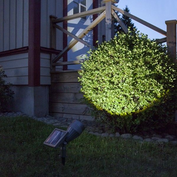 Spot solaire projecteur LED 60 Lumens