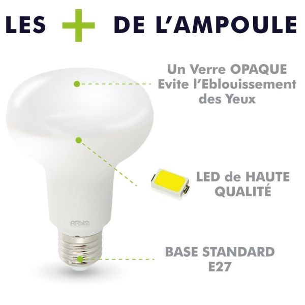 Ampoule LED E27 12W R80 Eq 90W 1020Lm