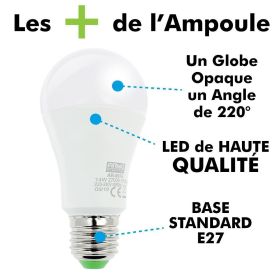 LED bulb V-Tac 9w e27 Cold White 6400k vt-2049 a67 White Filament Bulb