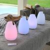 Rechargeable color lamp and bluetooth speaker