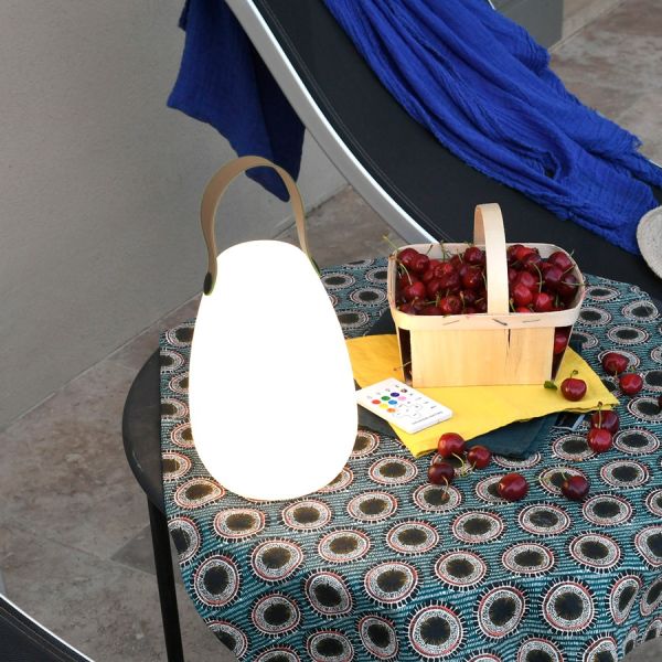 Rechargeable color lamp and bluetooth speaker