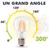 Ampoule LED E27 11W 1521 Lumens Eq 100W Blanc chaud