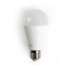 LED-Lampe RETROFIT E27 17W warmweiß