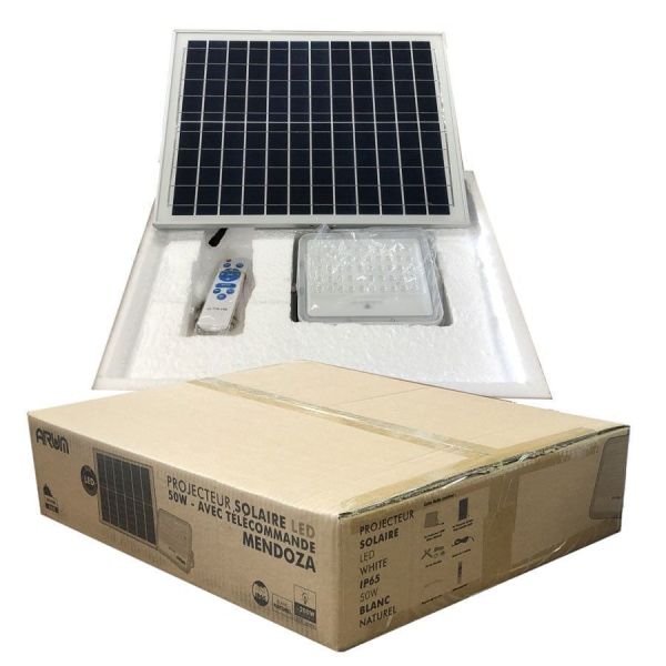 Proyector solar de 40 W con panel solar y control remoto