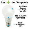 Lot de 10 Ampoules LED E27 9W eq 60W 806lm - Reconditionné
