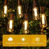 Solar LED Garland for Garden with 10 Bulbs Long 1m80