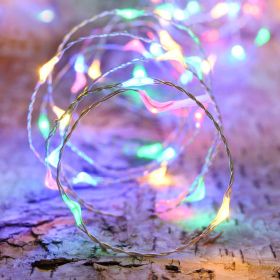 Micro LED garland for decoration on batteries 60 LEDS 6M Multicolored