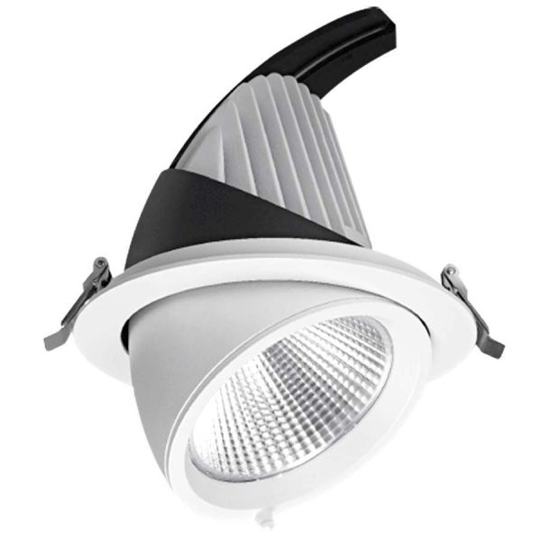 Transfo EAGLERISE snail LED spotlight COB 40W adjustable recessed