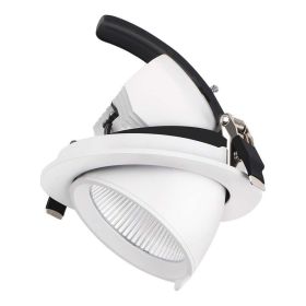 Pro snail COB 30W adjustable recessed LED spotlight