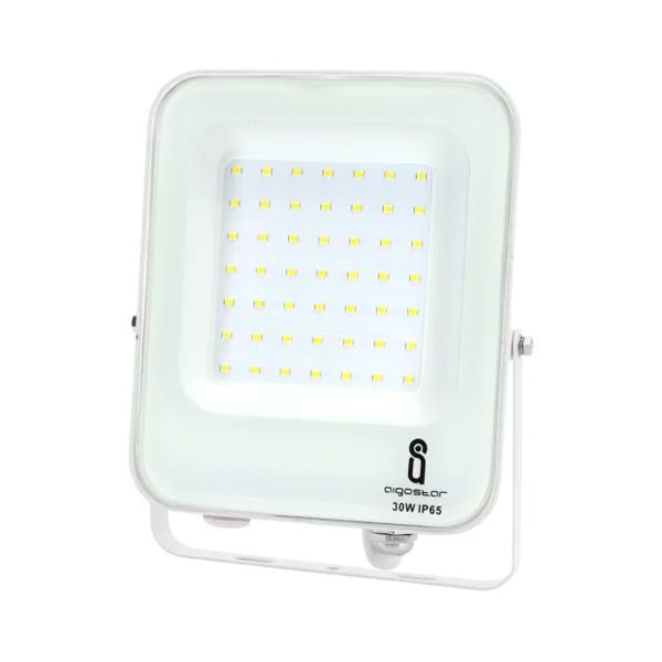 Proyector LED 30W Blanco IP65 exterior