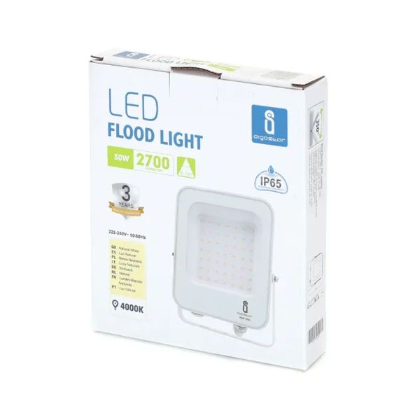 30W LED floodlight White IP65 outdoor