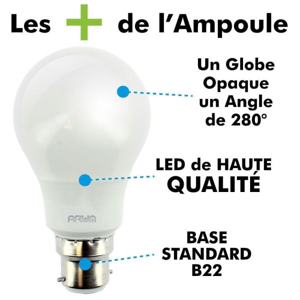 Ampoule - Led A60 Standard Culot B22 Ampoules Baïonnette Angle D