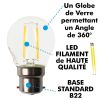 Professional guinguette garland 10 B22 2W warm white LED bulbs 10 meters Interconnectable
