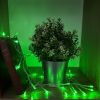 30 green LED garland on AA batteries