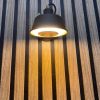 RIDLEY Black and Gold Wall Lamp with GU10 Warm White LED Bulb