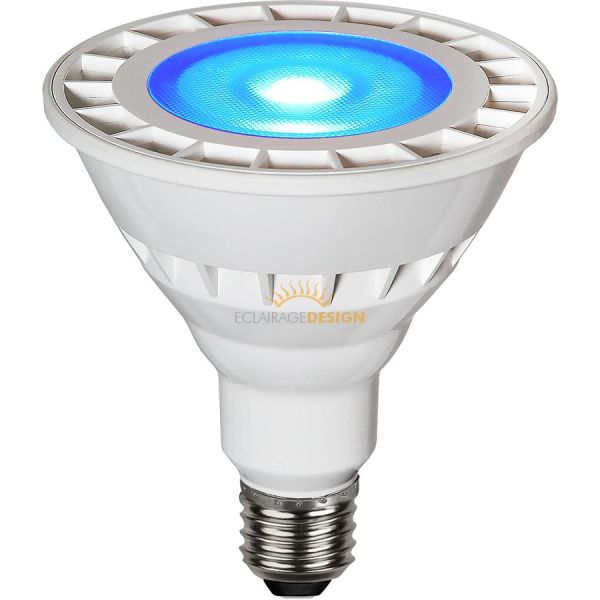 Spot ampoule LED PAR120 13W IP65