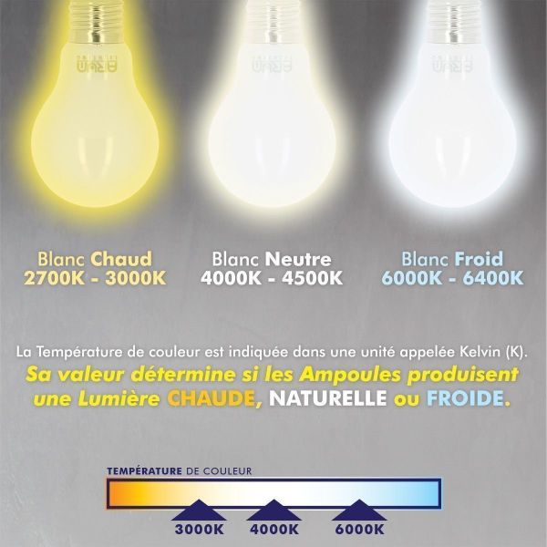 Lot de 10 ampoules LED E27 - 8,5 Watt - 3000K Blanc chaud - Remplace 60  Watt