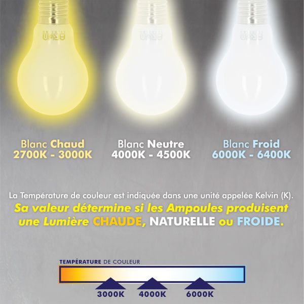 lot de 3 ampoules LED E27 9W 4000K blanc naturel